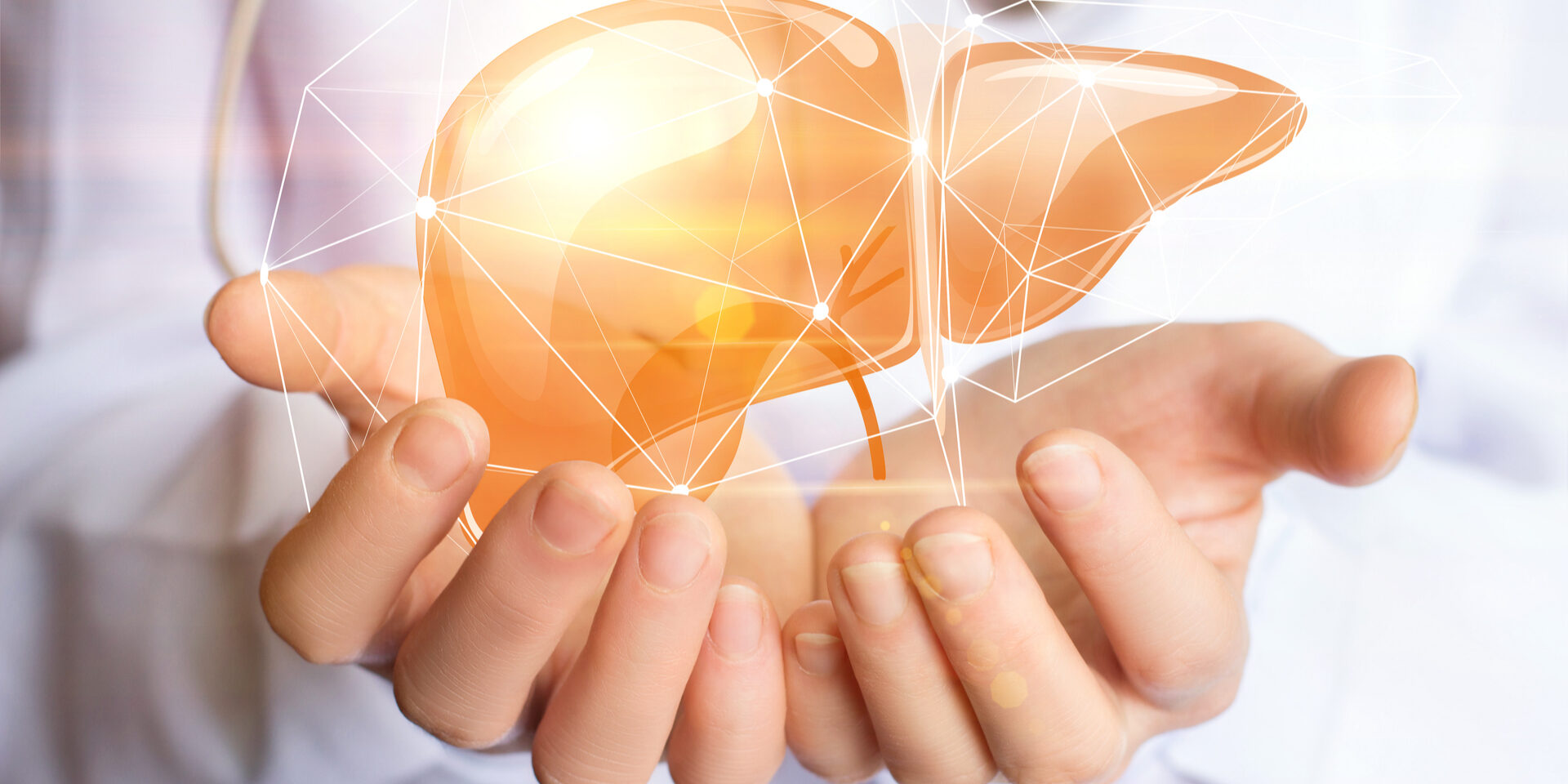 shutterstock_589026884 Црн Дроб